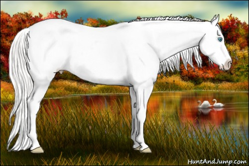 Horse Color: White Spotted Silver Smoky Creme Splash Blanket Rabicano 