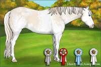 Horse Color:White Spotted Perlino Splash 