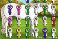 Horse Color:White Spotted Perlino Dun 