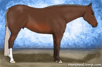 Horse Color:Silver Bay 