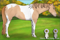 Horse Color:Gold Champagne Tobiano