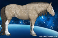 Horse Color:White Spotted Classic Cream Champagne Ice Sabino 
