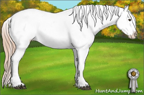 Horse Color: Red Roan Varnish 