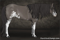 Horse Color:Smoky Grullo Sabino 