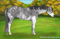 Horse Color:Smoky Black Ice Sabino 