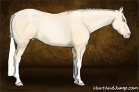 Horse Color:Silver Smoky Grullo Pearl