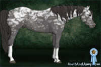 Horse Color:Buckskin Ice Rabicano