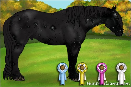 Horse Color: ERROR: UNKNOWN ANOMALY