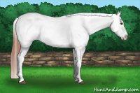 Horse Color:Bay Roan Dun Frame Snowcap 