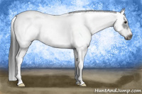 Horse Color:White Spotted Blue Roan Splash Frame 