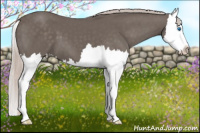 Horse Color:Silver Black Splash 