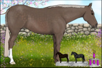 Horse Color:Silver Black 