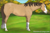 Horse Color:Sable Cream Champagne Roan Splash 