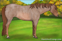 Horse Color:Liver Red Roan Sabino 