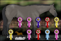 Horse Color:Brown Dun