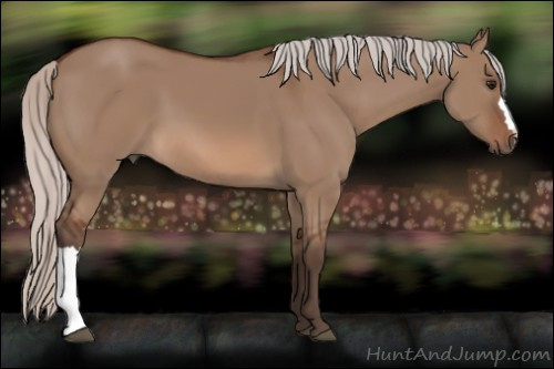 Horse Color: Silver Brown Dun 