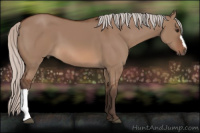 Horse Color:Silver Brown Dun