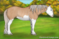 Horse Color:Silver Bay Dun Splash Rabicano 