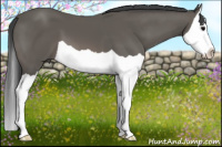 Horse Color:Brown Splash