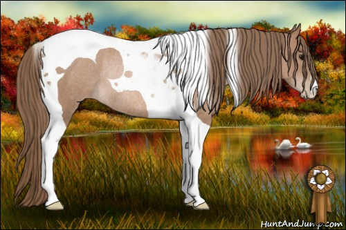 Horse Color: Black Pearl Tobiano Rabicano 