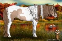 Horse Color:Black Pearl Tobiano Rabicano 