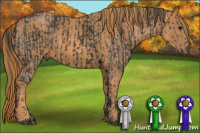Horse Color:White Spotted Black  Brindle
