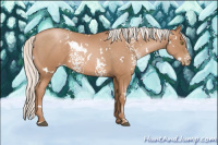 Horse Color:White Spotted Silver Brown Pearl