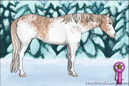 Horse Color: White Spotted Liver Chestnut Ice 