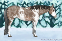 Horse Color:Brown Ice Dun Sabino