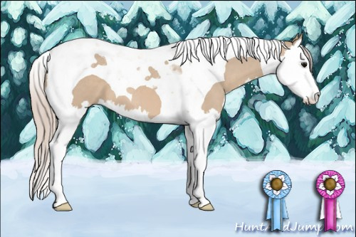Horse Color: Silver Grullo Splash Tobiano 