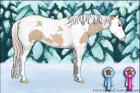 Horse Color:Silver Grullo Splash Tobiano 
