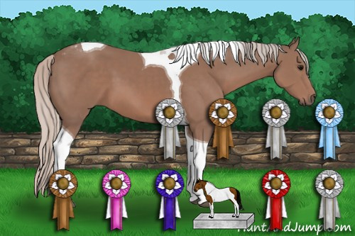 Horse Color: Silver Black Tobiano 