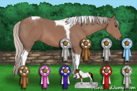 Horse Color:Silver Black Tobiano 