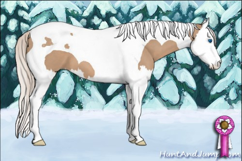 Horse Color: Silver Grullo Sabino Splash Tobiano 