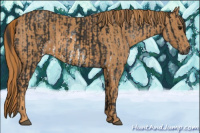 Horse Color:Gray White Spotted Black  Brindle