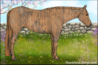 Horse Color:Gray White Spotted Grullo  Brindle