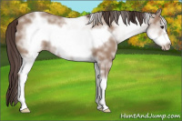 Horse Color:White Spotted Classic Champagne Frame