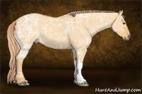 Horse Color:Palomino Ice Dun