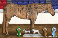 Horse Color:Gray White Spotted Black  Brindle