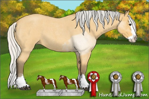 Horse Color: Silver Buckskin Roan Sabino Splash 