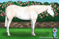 Horse Color:White Spotted Buckskin Pearl Splash 