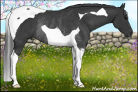 Horse Color:Black Tobiano Rabicano 