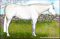 Horse Color:Silver Amber Cream Champagne Dun Splash Frame