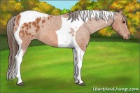 Horse Color:Bay Tobiano Varnish 