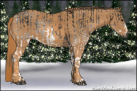 Horse Color:Gray White Spotted Black  Brindle