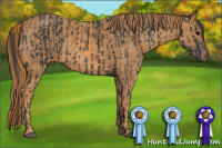 Horse Color:Black  Brindle