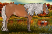 Horse Color:Silver Bay 