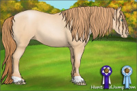 Horse Color:Buckskin Roan Pearl 