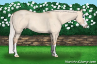 Horse Color:Silver Amber Champagne Roan Dun Splash 