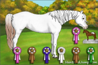 Horse Color:Bay Tobiano Appaloosa